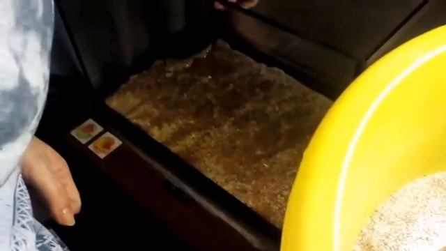 Купили аквариум начинаем заполнять смотреть онлайн