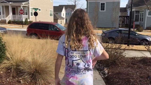 HOVER-1 Hoverboard From Walmart Review