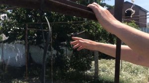 Шпалера для помидоров и огурцов