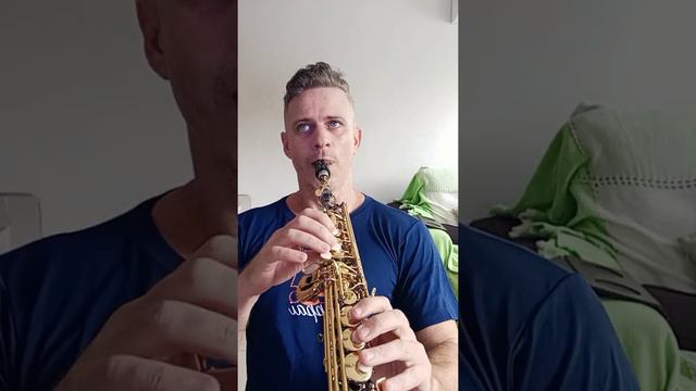 Cheek to cheek - Irving Berlin / Sax Soprano Cover смотреть онлайн