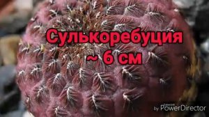 СРАВНЕНИЕ РАЗМЕРОВ 3 (Часть 3 - из микромира в макромир)