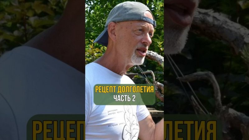 Рецепт долголетия. Часть 2