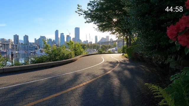 Work/Study session with timer 4 x 45 min/15 min = 4 Hours смотреть онлайн