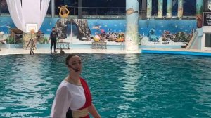 Евпаторийский дельфинарий 🐬