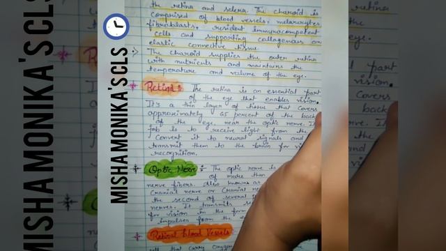 HUMAN ANATOMY AND PHYSIOLOGY OF THE EYE (STRUCTURES OF POSTERIOR SEGMENT)