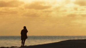 Влияние человека на природу | Как это работает...?