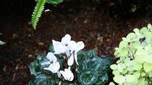 Павел КАШИН - Мир, который светится