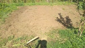 ЛЕТНЯЯ ПРОГУЛКА ПО ЮЖНОМУ САДУ