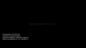 Эксперимент 010-013