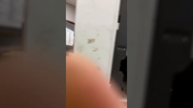 Перегорают предохранители в микроволновке при открывании двери - меняем концевой выключатель
