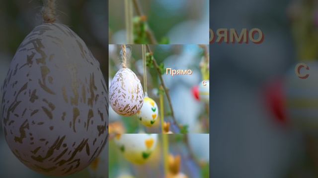 Светлая Пасха поздравление #easter #пасха #поздравление #religion #egg #chicken #wesolychswiat