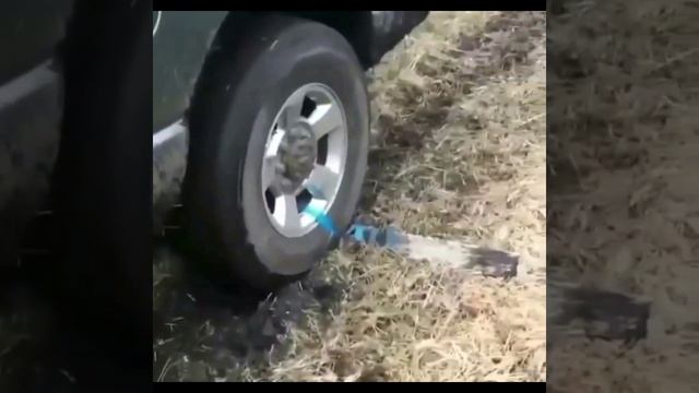 Автолайфхаки №1