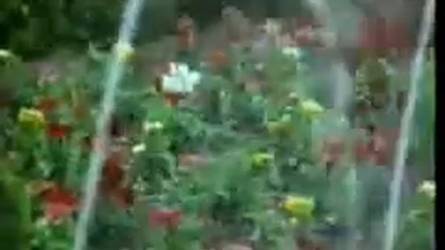 Пророк Мухаммад с а с YouTube смотреть онлайн