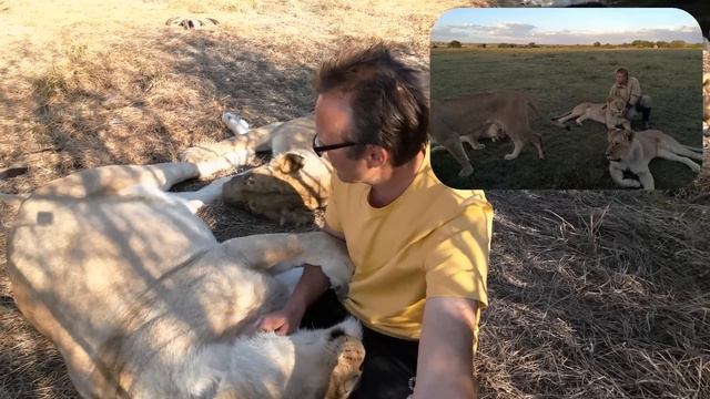 Рассказ про Тришу смотреть онлайн