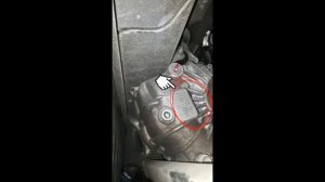 Где находится номер двигателя TESLA MODEL S