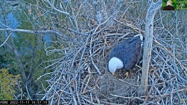Dreaming of Being a Papa Again! смотреть онлайн