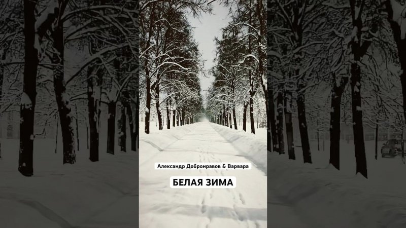 Снова белая зима и снежинки за окном ❄️ #shorts #зима #варвара #александрдобронравов