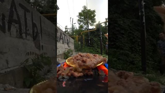 Блогер из Сочи придумал необычный способ доставки еды для бездомных животных смотреть онлайн