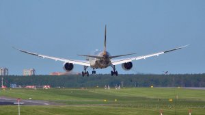 Летнее Шереметьево на рассвете. Несколько посадок и один взлёт. A330 B737 A320 B787 Dreamliner