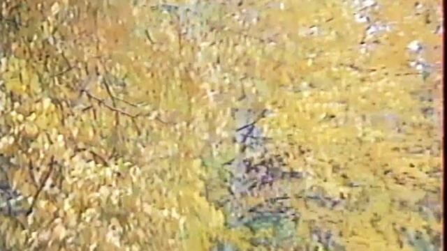 1993 Мегион Зарисовка осень.mp4