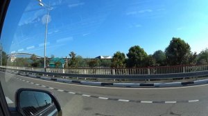 Абхазия дорога Коровы