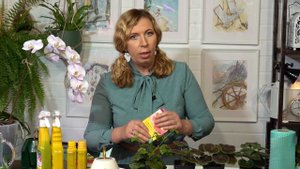 Простые правила подкормки комнатных растений.