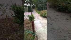 Воздуходувка для уборки листьев и веточек. Цикл: работы голландцев на приусадебном участке.