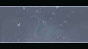 Короче, у меня теперь акк в лайке (ник "~Водочка")