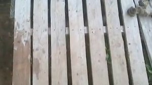 Пол из поддонов