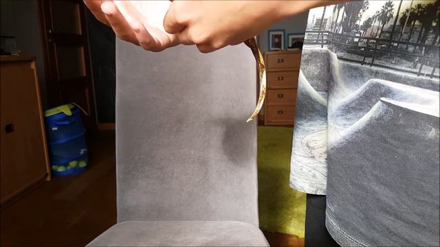 Jak Brać Jaszczurkę na Rękę? - Poradnik