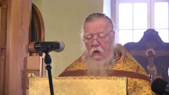 Проповедь на неделю 25-ю по Пятидесятнице. Рождественский (Филиппов) пост. Димитрий Смирнов