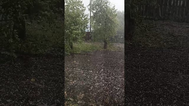 СИЛЬНЫЙ ГРАД УНИЧТОЖИЛ ПОСАДКИ