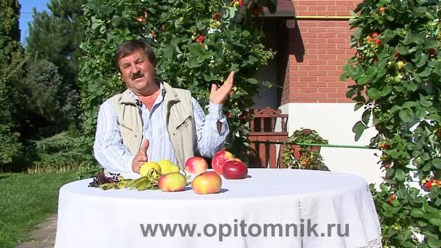 Ремонтантная клубника. Вертикальная конструкция