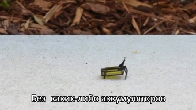 ТОП-5 удивительных научных разработок 2020 года: новости науки