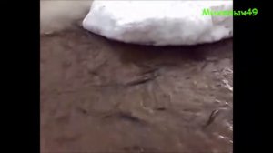 Магаданская рыбалка