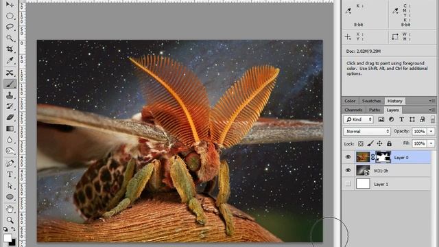 Adobe Photoshop – Виды масок в Photoshop, их практическое применение смотреть онлайн