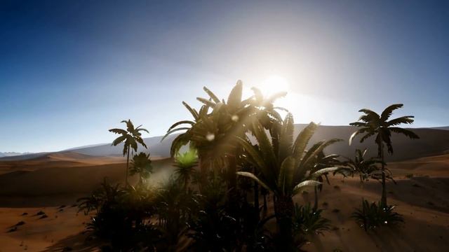 #8K #HDR #60FPS #DESERT  SAHARA DESERT IN 8K | 8K NATURE SIDE | 8K VODEO