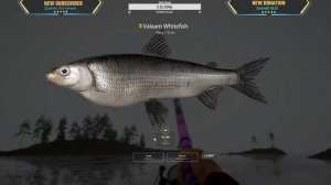 Valaam Whitefish and SURPRISE EEL!! | Float Fishing Arc Wot?? | Mar 11, 2023