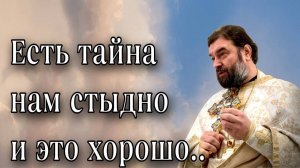 "Он знал, что жизнь как сон" - отец Андрей Ткачёв