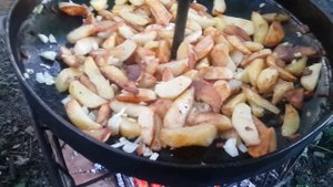 Супер сковорода- Картошка на диске из сельхоз бороны. Жарим картошку.