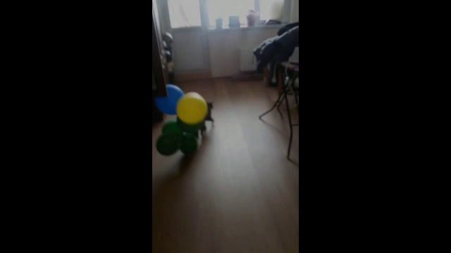 Кот Дима. Поздравление с 8 марта смотреть онлайн