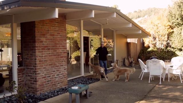 David Shapiro, Realtor -In Memorium Of- Bay Area Modern Real Estate смотреть онлайн