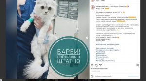 Новогоднее обращение канала "Другая История".