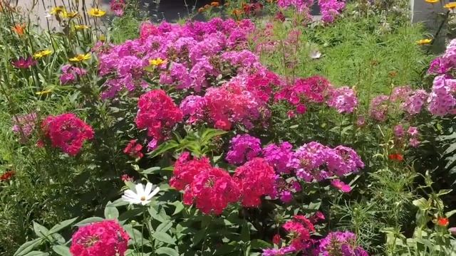 Воскресенье, поход по магазинам, мои покупочка! смотреть онлайн