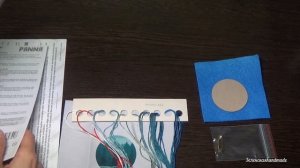 Видео-обзор. Panna. Живая картина. Броши от PANNA осваиваем гладь!