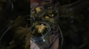 Брокколи в рассоле на зиму.