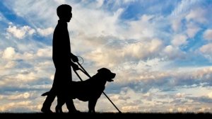 Алексей Мандельштам - Слепой клоун (Жизнь на севере)