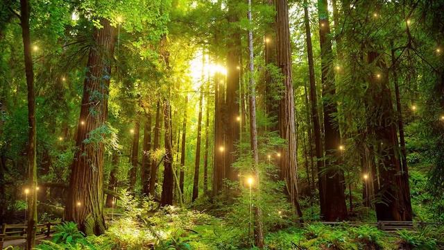 Чудесно и Красиво! Эта музыка обволакивает душу НЕЖНЫМ ТЕПЛОМ #92 смотреть онлайн