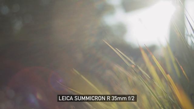 LEICA R | Vintage Cine Lenses for Filmmakers смотреть онлайн