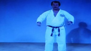 COMBAT SHOTOKAN VIDEO 2 PUNCHES AND STRIKES